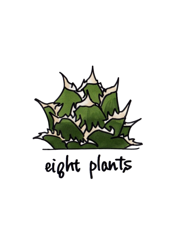 ei8ht plants