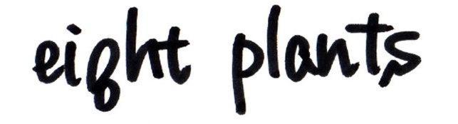 ei8ht plants